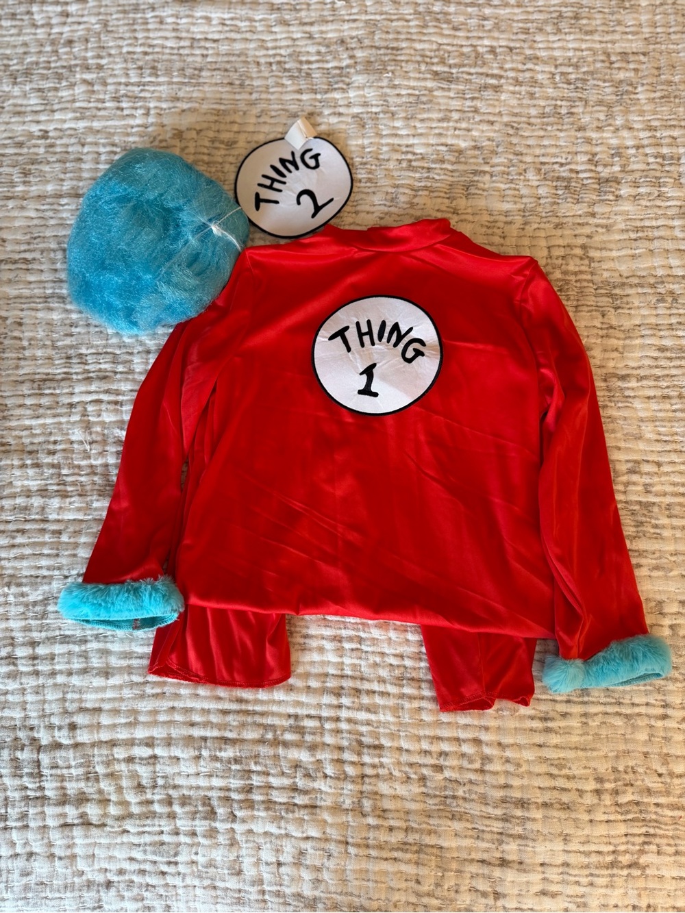 THING 1 COSTUME